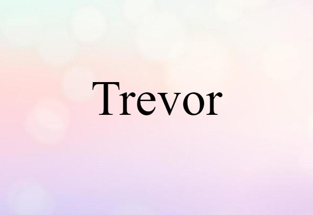 Trevor (noun) Definition, Meaning & Examples