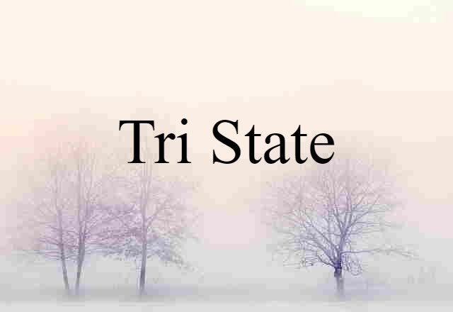 Tri State (noun) Definition, Meaning & Examples