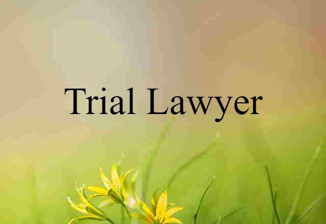 trial lawyer