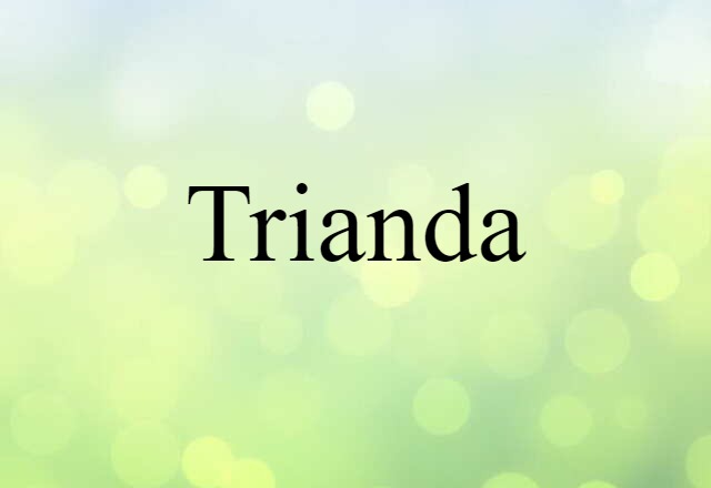 Trianda (noun) Definition, Meaning & Examples