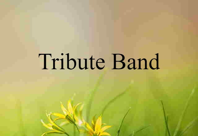 Tribute Band (noun) Definition, Meaning & Examples