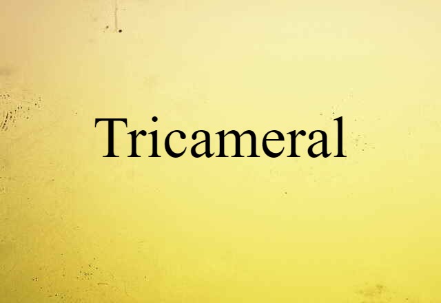 Tricameral (noun) Definition, Meaning & Examples