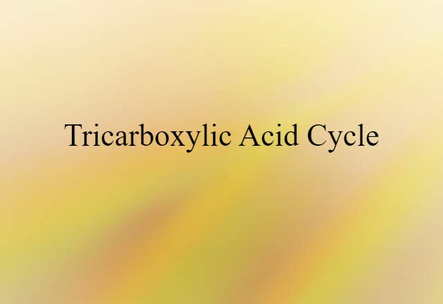 Tricarboxylic Acid Cycle (noun) Definition, Meaning & Examples