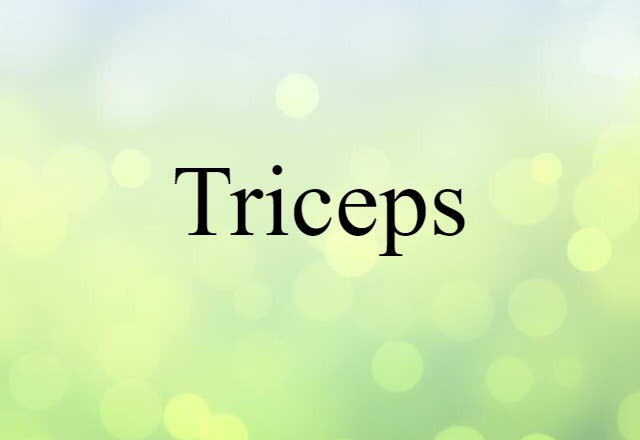 Triceps (noun) Definition, Meaning & Examples