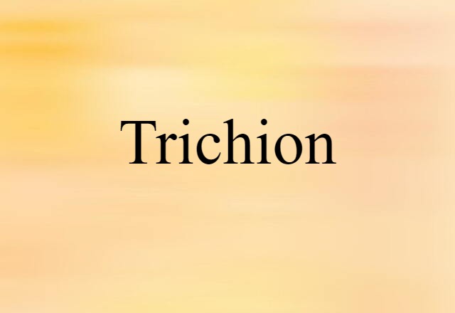 Trichion (noun) Definition, Meaning & Examples