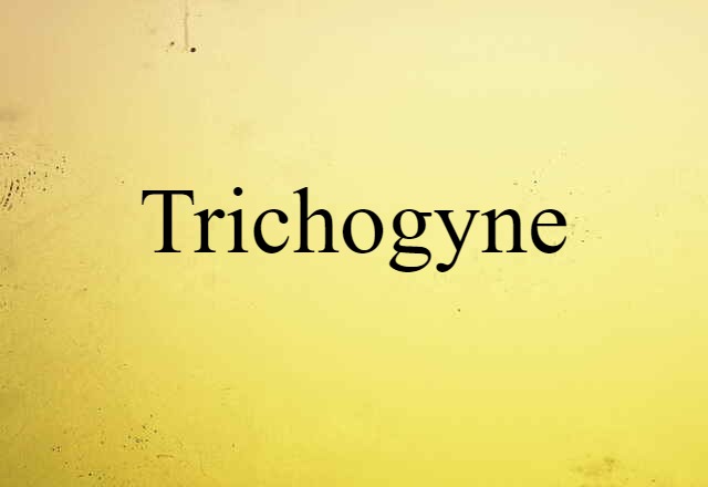 trichogyne