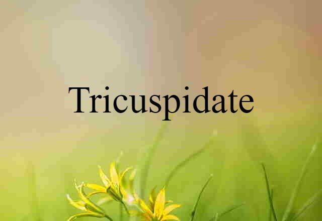 tricuspidate