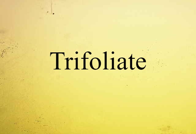 Trifoliate (noun) Definition, Meaning & Examples