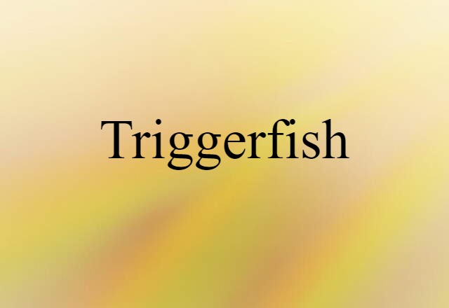 triggerfish