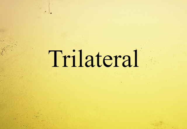 Trilateral (noun) Definition, Meaning & Examples