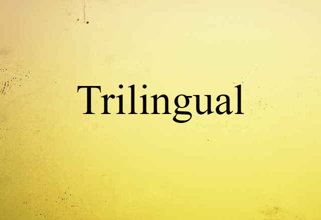 Trilingual (noun) Definition, Meaning & Examples