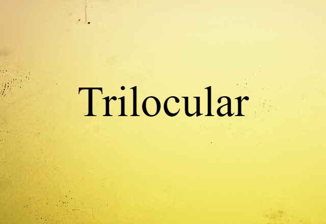 Trilocular (noun) Definition, Meaning & Examples