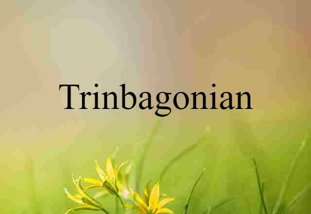 Trinbagonian (noun) Definition, Meaning & Examples