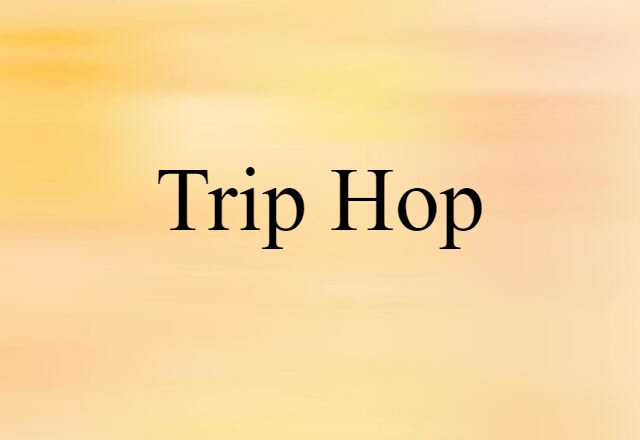 Trip Hop (noun) Definition, Meaning & Examples