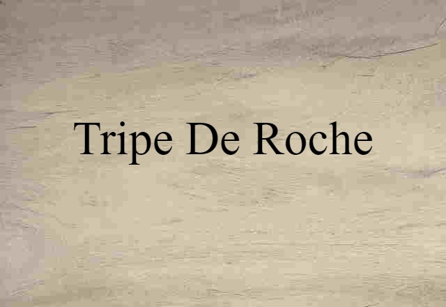 Tripe-de-roche (noun) Definition, Meaning & Examples