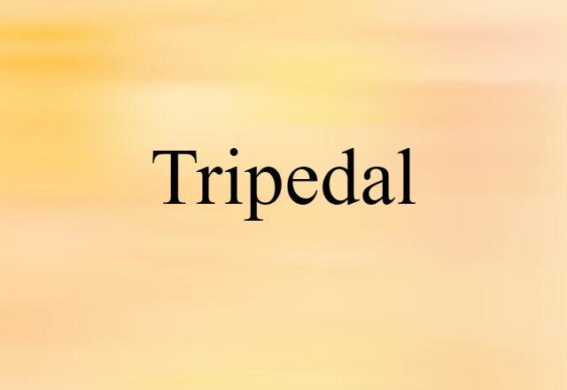 Tripedal (noun) Definition, Meaning & Examples