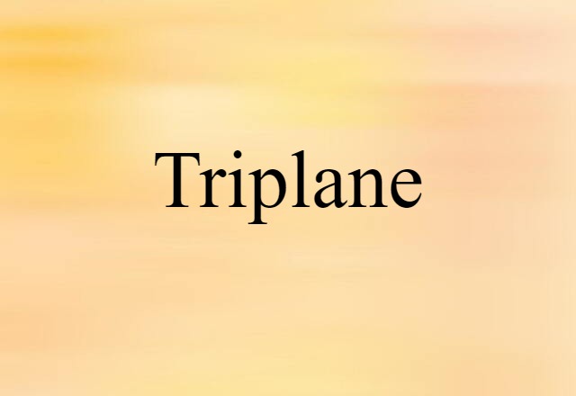 Triplane (noun) Definition, Meaning & Examples