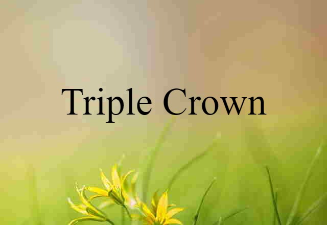 Triple Crown (noun) Definition, Meaning & Examples