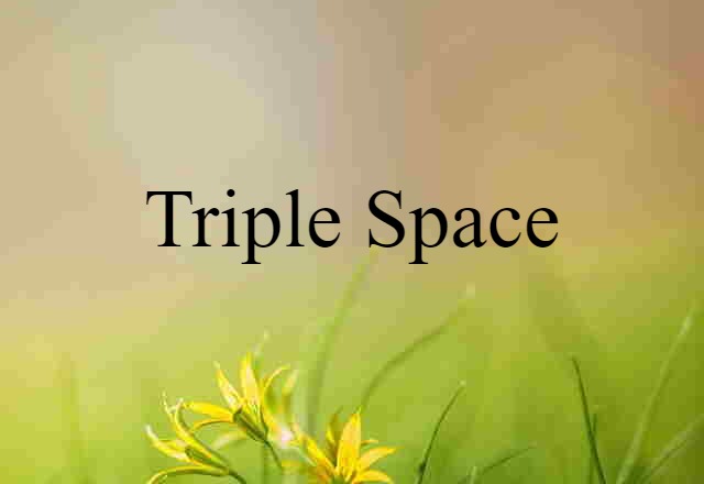 Triple Space (noun) Definition, Meaning & Examples