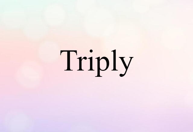 Triply (noun) Definition, Meaning & Examples