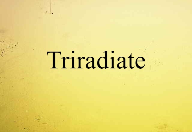 Triradiate (noun) Definition, Meaning & Examples