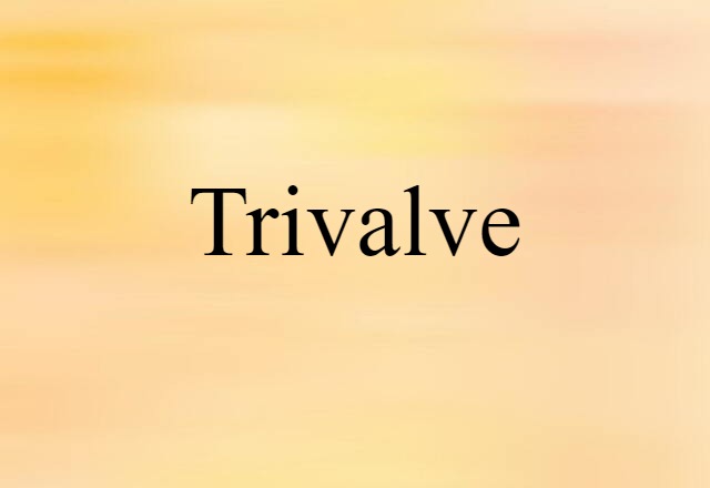 Trivalve (noun) Definition, Meaning & Examples