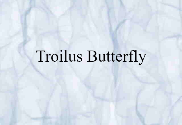 Troilus Butterfly (noun) Definition, Meaning & Examples