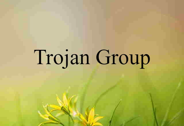 Trojan Group (noun) Definition, Meaning & Examples