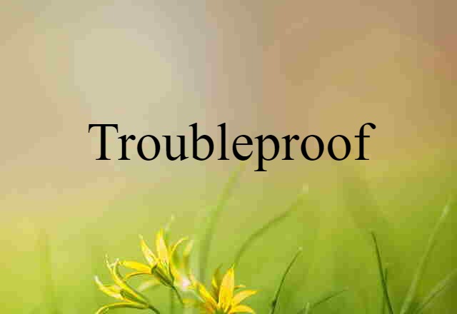 Troubleproof (noun) Definition, Meaning & Examples