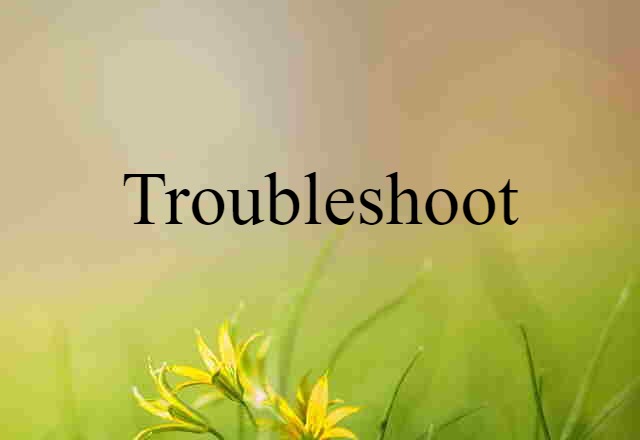 troubleshoot