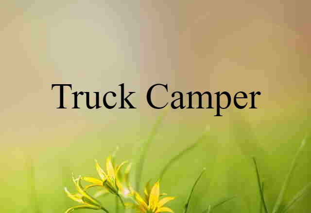 Truck Camper (noun) Definition, Meaning & Examples