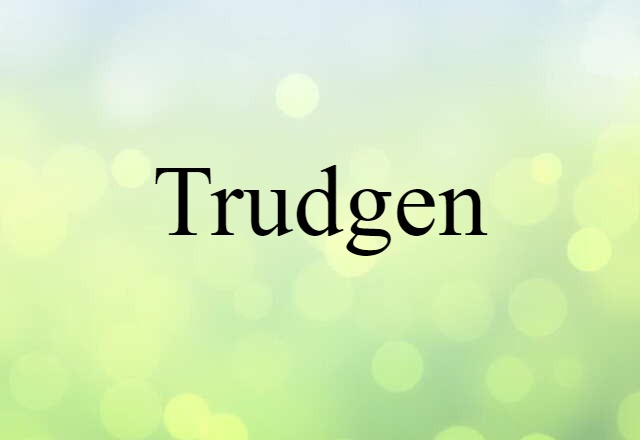 Trudgen (noun) Definition, Meaning & Examples