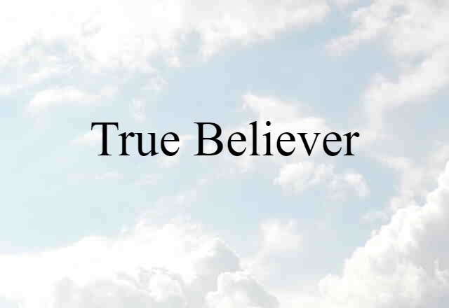 True Believer (noun) Definition, Meaning & Examples