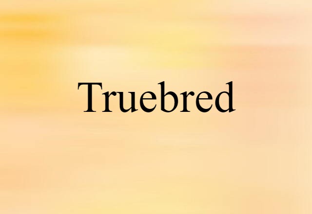 Truebred (noun) Definition, Meaning & Examples