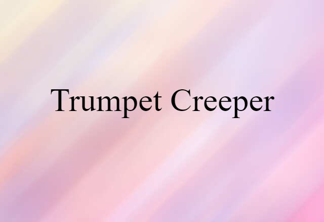 trumpet creeper