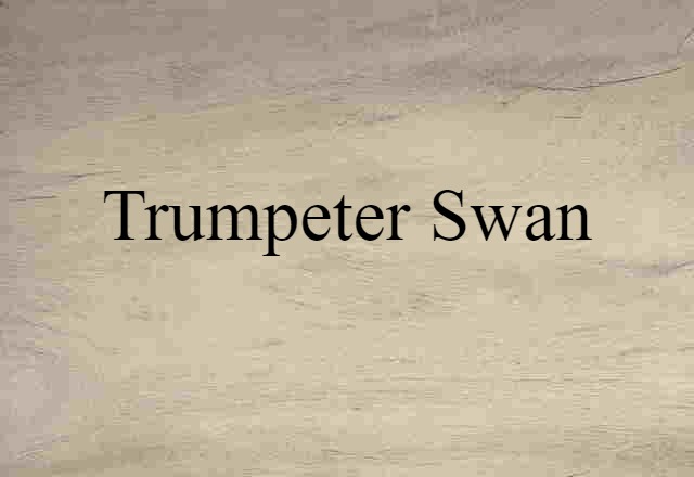 Trumpeter Swan (noun) Definition, Meaning & Examples