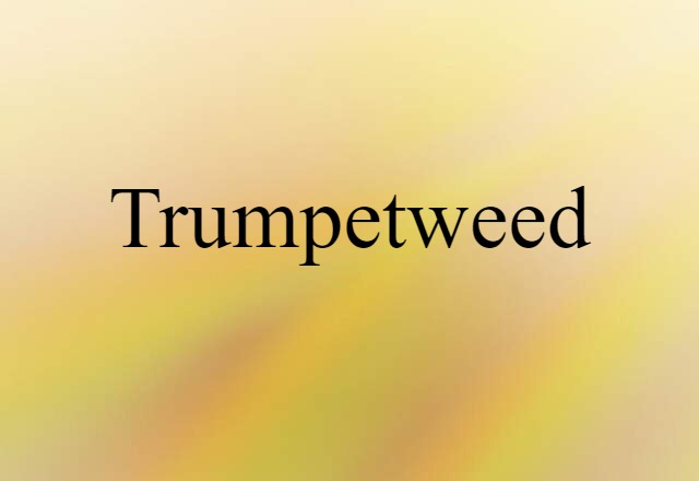 trumpetweed