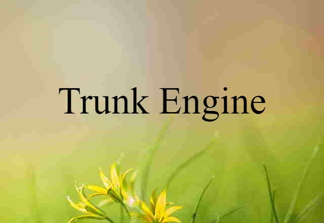 Trunk Engine (noun) Definition, Meaning & Examples