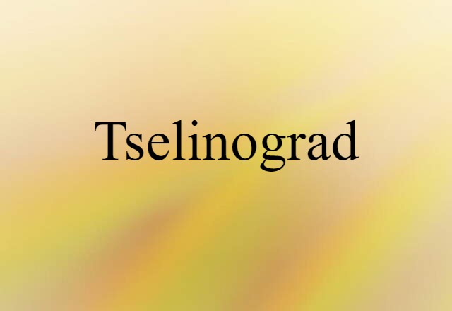 Tselinograd (noun) Definition, Meaning & Examples