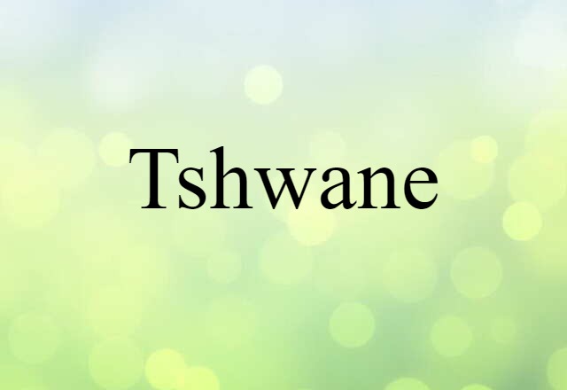 Tshwane (noun) Definition, Meaning & Examples