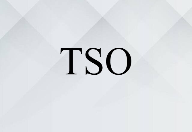 TSO (noun) Definition, Meaning & Examples