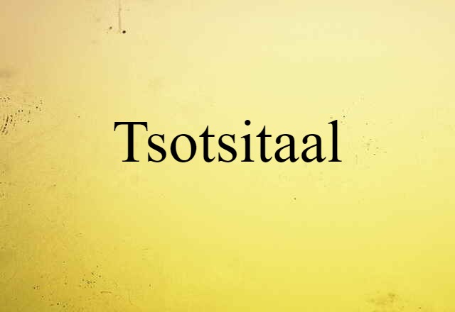 tsotsitaal