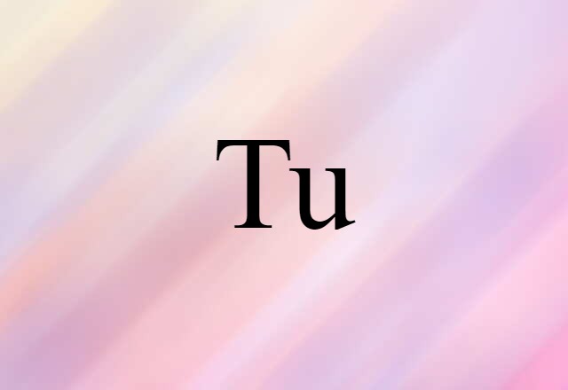 Tu (noun) Definition, Meaning & Examples