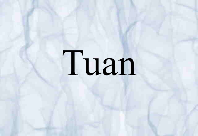 Tuan (noun) Definition, Meaning & Examples