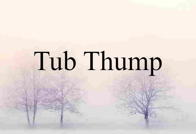 Tub-thump (noun) Definition, Meaning & Examples