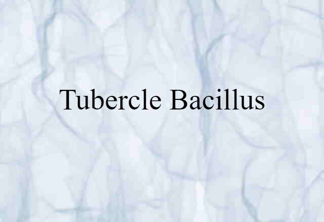 tubercle bacillus