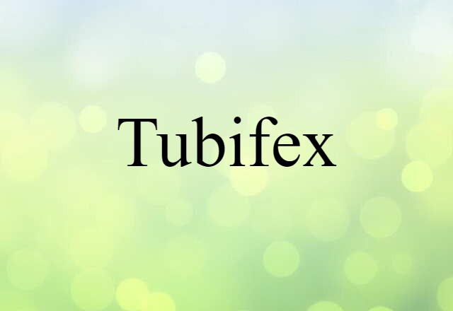 tubifex