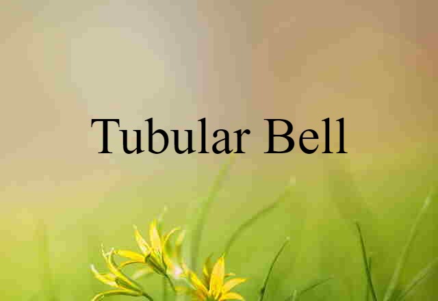 Tubular Bell (noun) Definition, Meaning & Examples