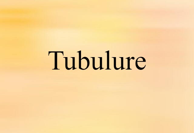 Tubulure (noun) Definition, Meaning & Examples