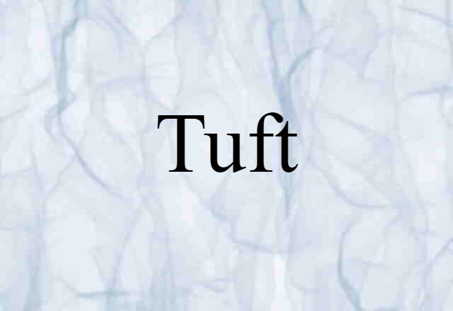 Tuft (noun) Definition, Meaning & Examples